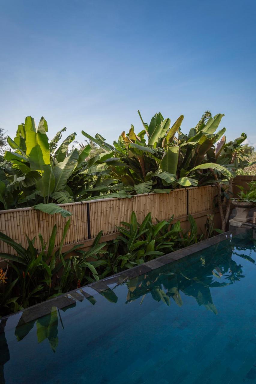 Umah Tikari Guesthouse Canggu Extérieur photo