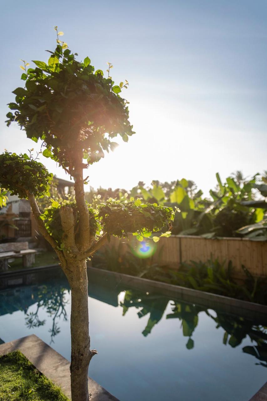 Umah Tikari Guesthouse Canggu Extérieur photo